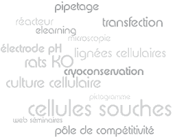 culture cellulaire, biologie moléculaire